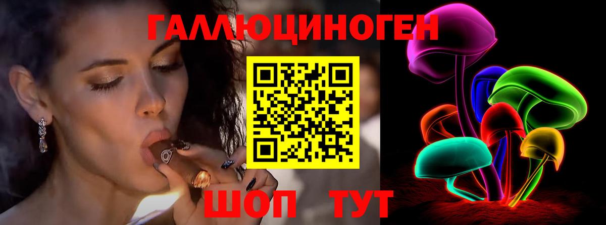 Псилоцибиновые грибы Psilocybine cubensis  что такое   Вход с VPN  Новочеркасск  Галлюциногенные грибы прущие грибы 